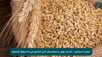 سعر 5 سبتمبر.. تحديث يومي لأسعار طن الأرز الشعير في الأسواق المحلية